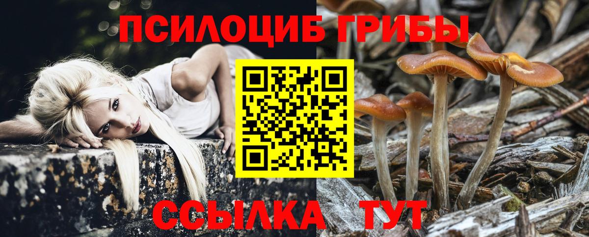 Псилоцибиновые грибы ЛСД Дербент