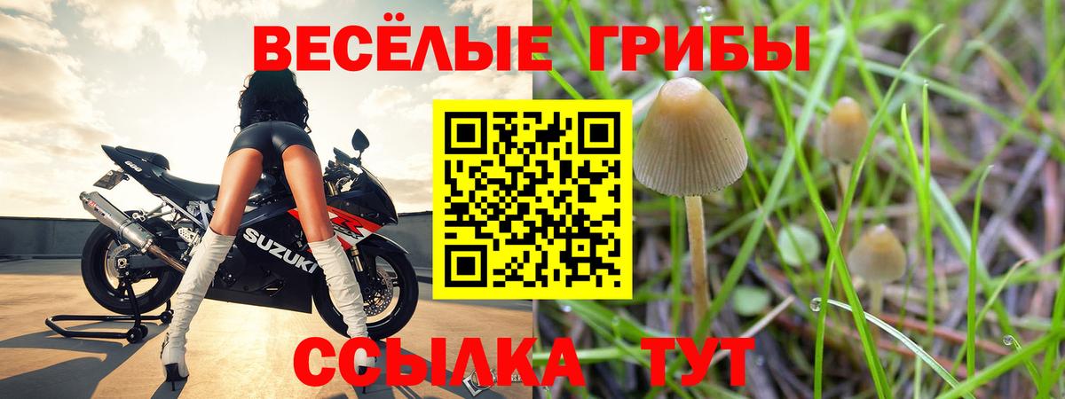 Галлюциногенные грибы Psilocybine cubensis  Галлюциногенные грибы GOLDEN TEACHER  Вход с VPN  Дербент 